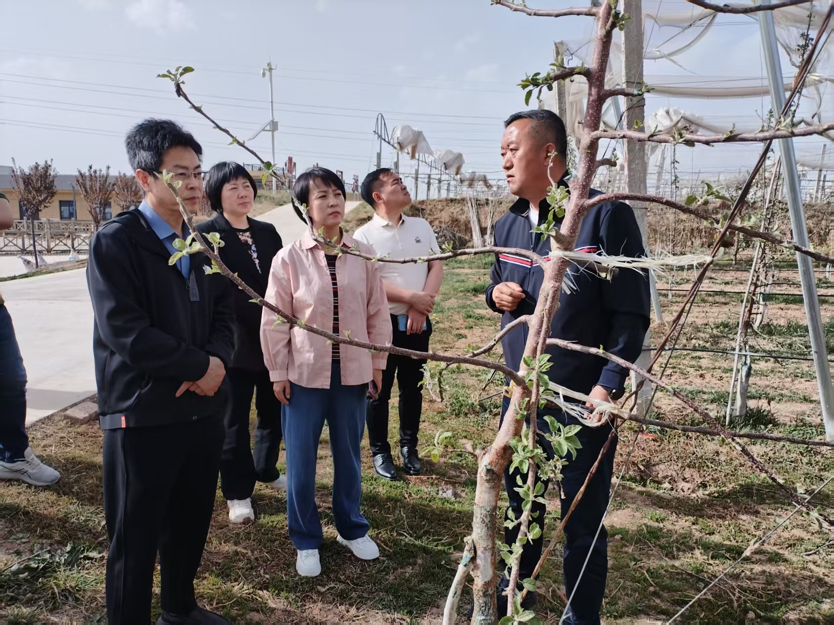 2025年4月16日銅川市供銷(xiāo)合作社王婧副主任與”鮮豐匯“、華東農(nóng)產(chǎn)品交易中